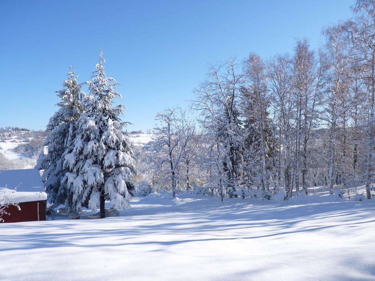 Ca'Luna Mondovì Kültér fotó